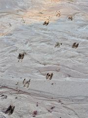 000 Lakeland Drive, Hillister, TX 77624