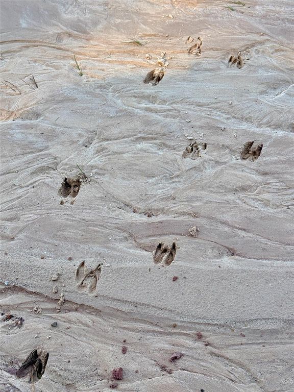 000 Lakeland Drive, Hillister, TX 77624