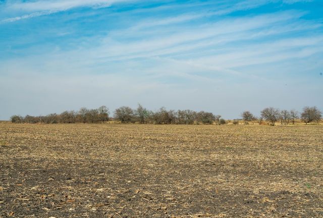 18402 Manda Carlson Road, Coupland, TX 78615