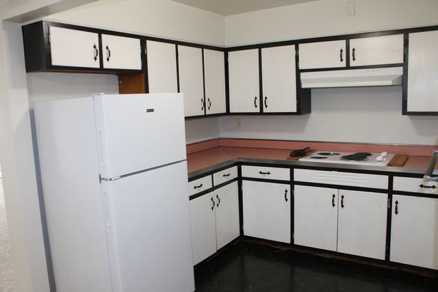 715 E State Street 204, Geneva, IL 60134