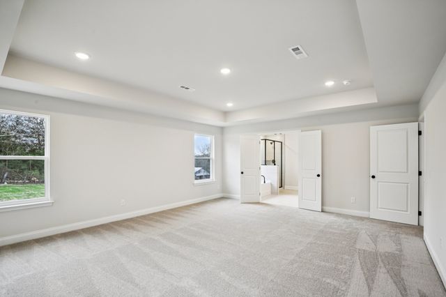 149 Emeline Way, Mount Juliet, TN 37122