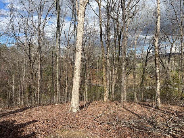 67 Shady Oaks Cove, Dunlap, TN 37327