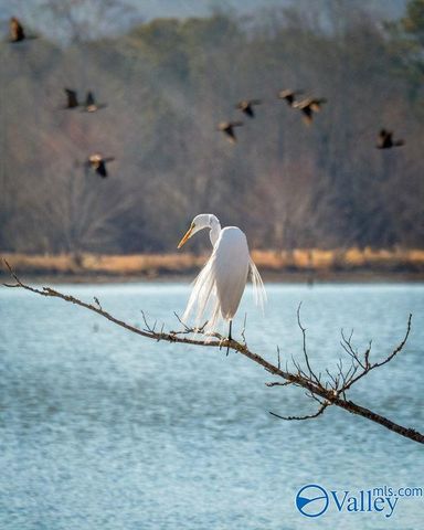 400 Montclair Drive, Gadsden, AL 35901