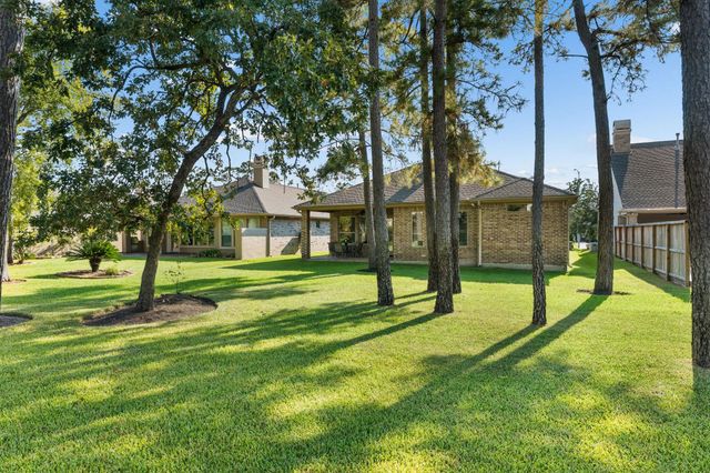 25146 Arcane Court, Spring, TX 77389