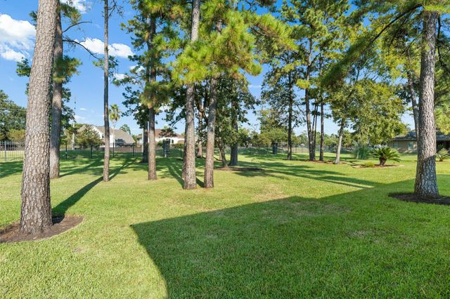 25146 Arcane Court, Spring, TX 77389