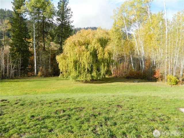 285 N Lemanasky Rd Road, Tonasket, WA 98855