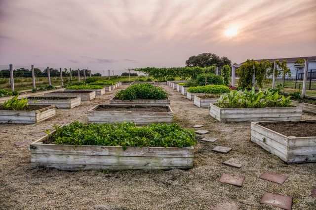 3575 County Road 271, Moulton, TX 77975