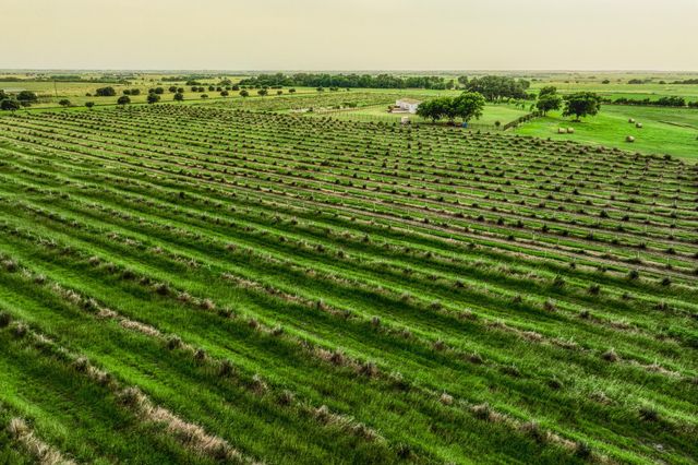 3575 County Road 271, Moulton, TX 77975