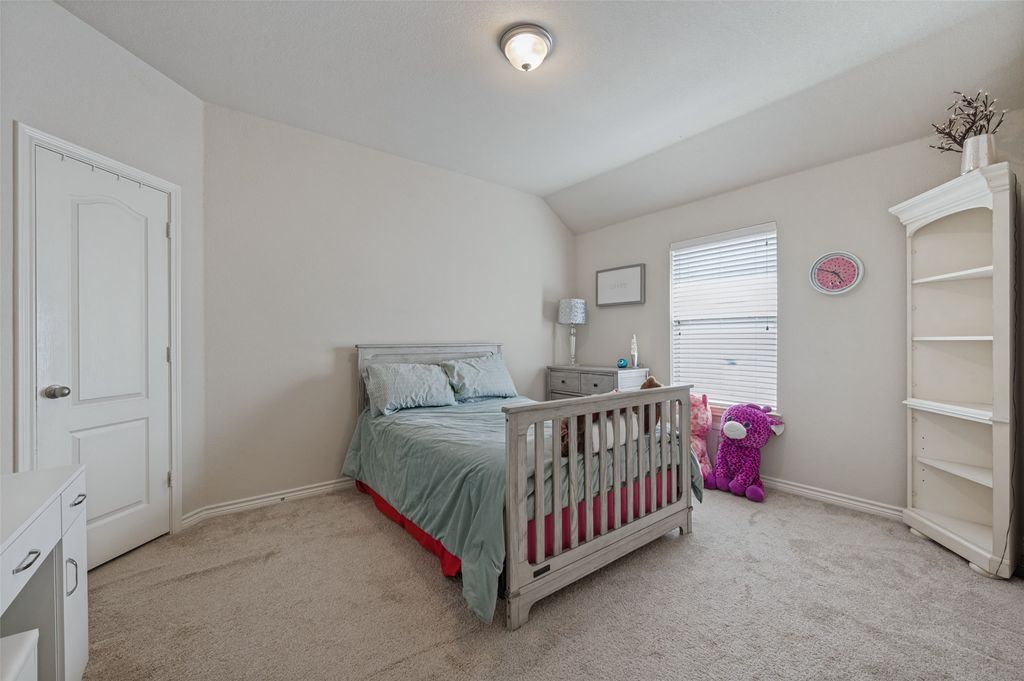 2009 Michelle Creek Drive, Little Elm, TX 75068 — photo 5