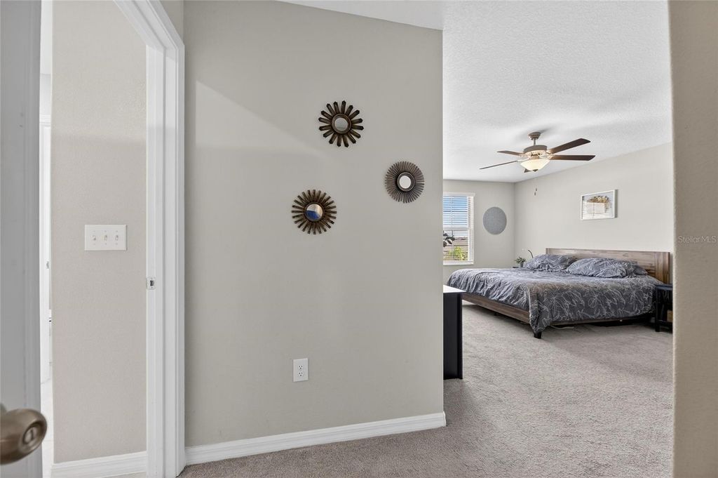 Image 34 of property listing at 16791 DELIA STREET, Wimauma, FL 33598