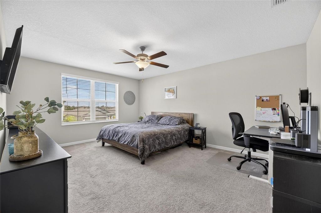 Image 35 of property listing at 16791 DELIA STREET, Wimauma, FL 33598