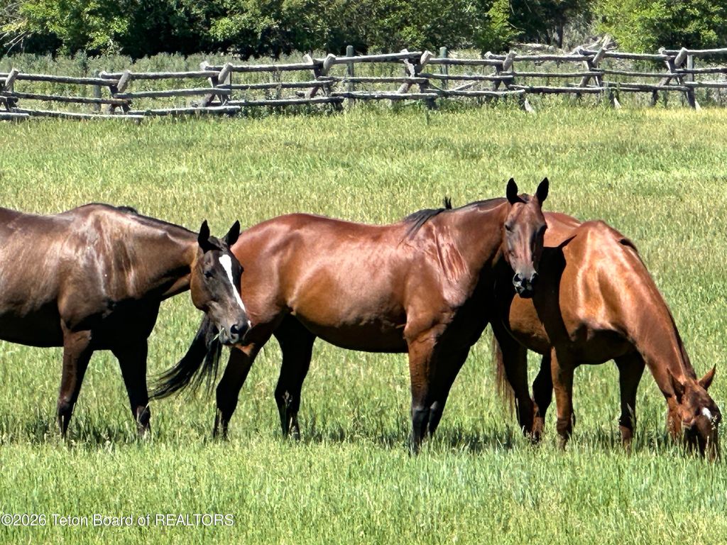 8855 RIVERFRONT Drive, Jackson, WY 83001 photo 46