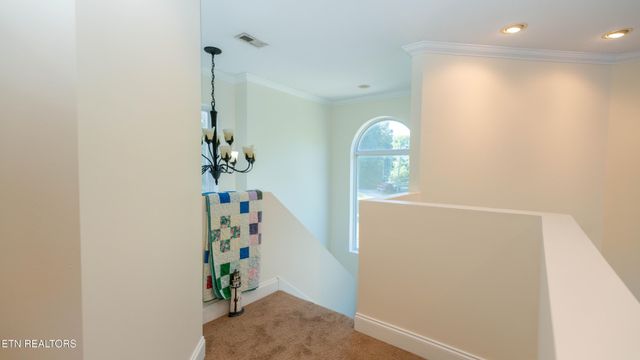 3512 Cabin Ridge Rd, Louisville, TN 37777
