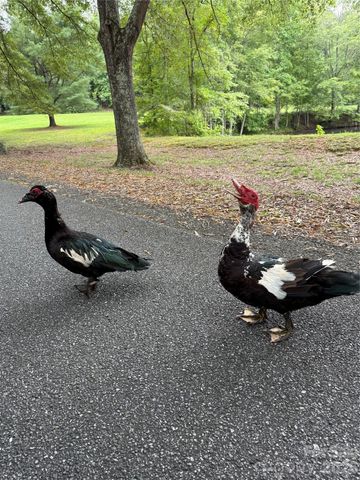 3181 Shag Bark Road, Connelly Springs, NC 28612