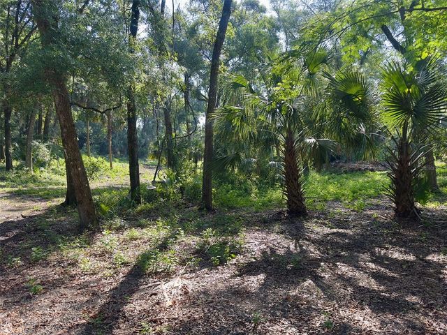 2265 CROOKED, Deland, FL 32720