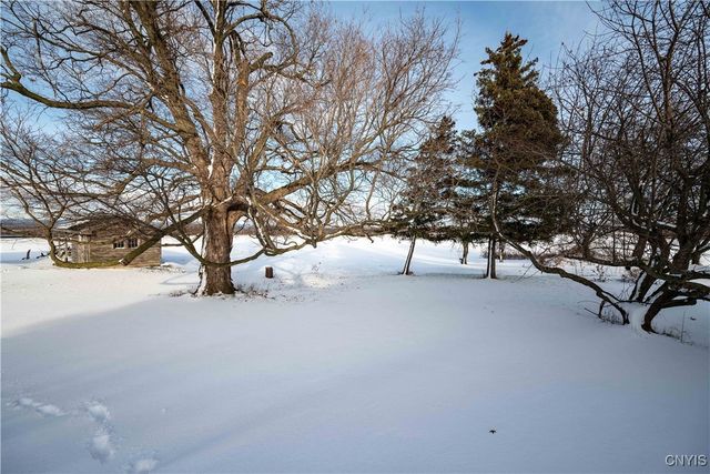 6646 Bruce Road, Lincoln, NY 13032