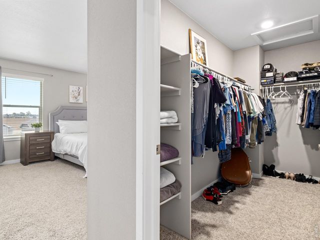 4510 Bishopsgate Dr, Windsor, CO 80550