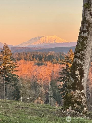 240 Rakoz Road, Toledo, WA 98591