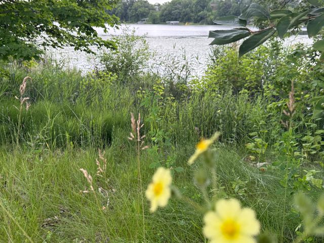 31044 Acorn Lake Road, Frazee, MN 56544