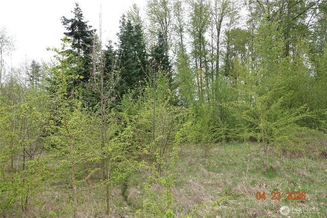 11703 34th Avenue E, Tacoma, WA 98446