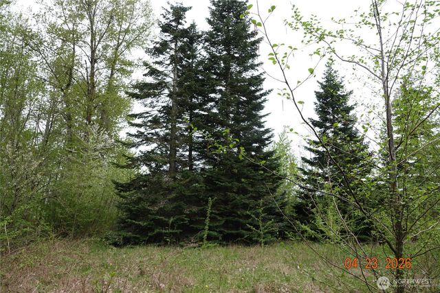 11703 34th Avenue E, Tacoma, WA 98446