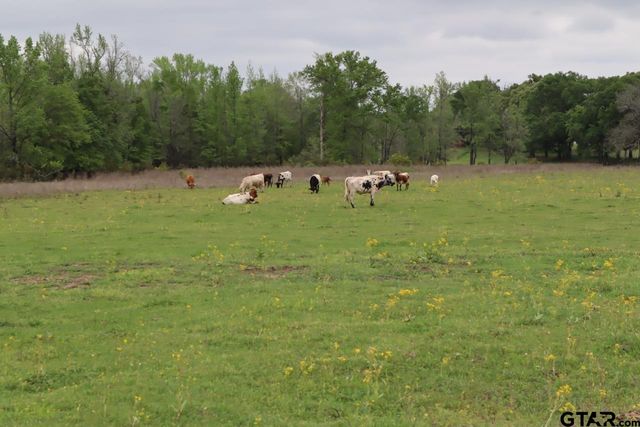 TBD Rs County Road 2365, Alba, TX 75410