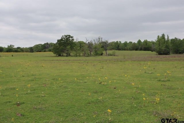 TBD Rs County Road 2365, Alba, TX 75410