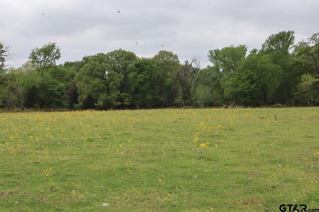 TBD Rs County Road 2365, Alba, TX 75410
