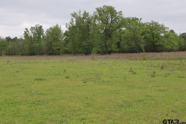 TBD Rs County Road 2365, Alba, TX 75410