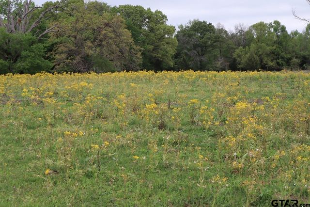 TBD Rs County Road 2365, Alba, TX 75410