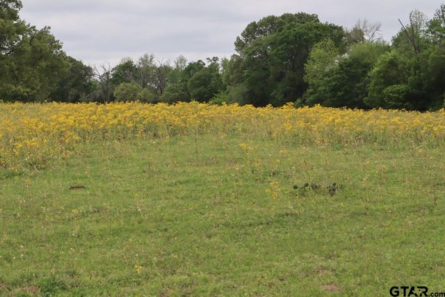 TBD Rs County Road 2365, Alba, TX 75410