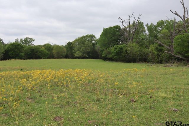 TBD Rs County Road 2365, Alba, TX 75410