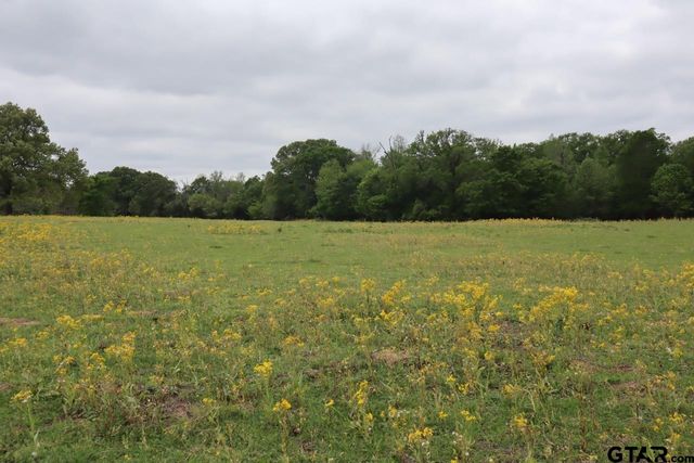 TBD Rs County Road 2365, Alba, TX 75410