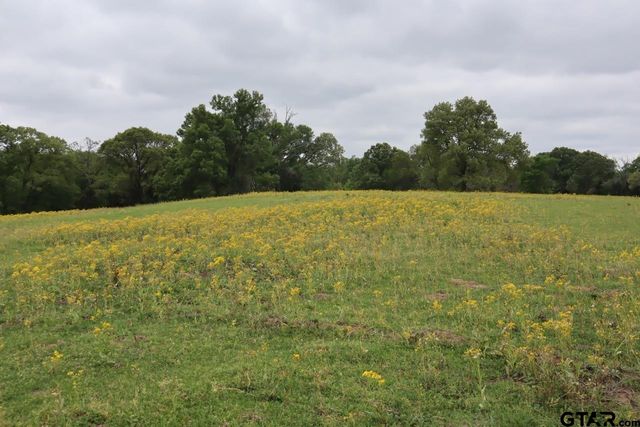 TBD Rs County Road 2365, Alba, TX 75410