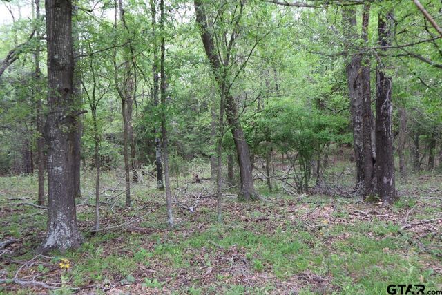 TBD Rs County Road 2365, Alba, TX 75410