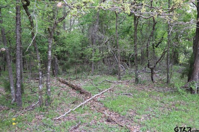 TBD Rs County Road 2365, Alba, TX 75410