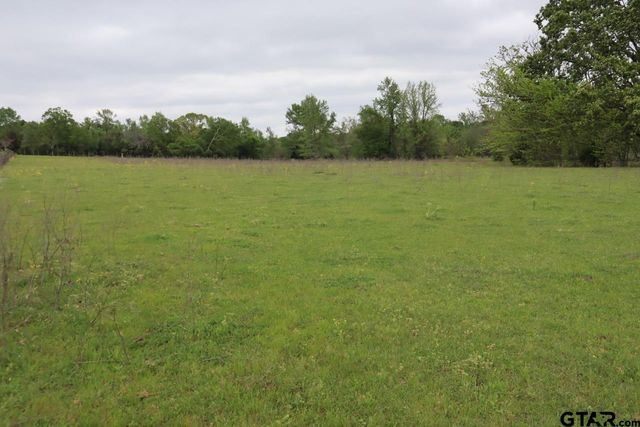 TBD Rs County Road 2365, Alba, TX 75410