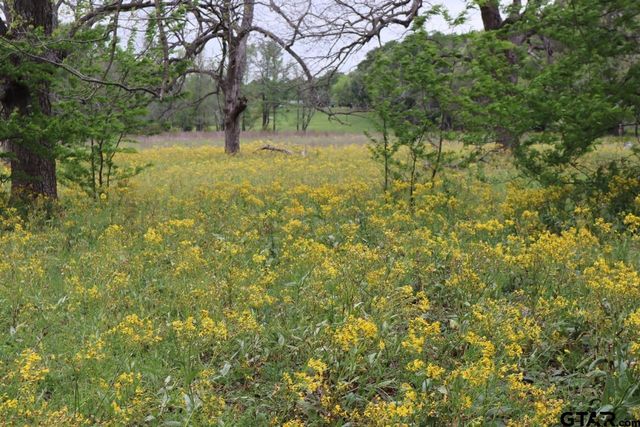 TBD Rs County Road 2365, Alba, TX 75410