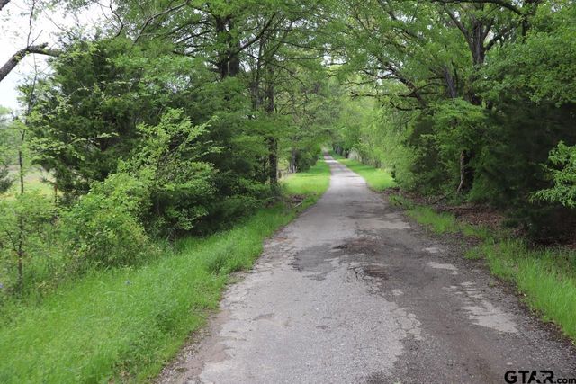 TBD Rs County Road 2365, Alba, TX 75410