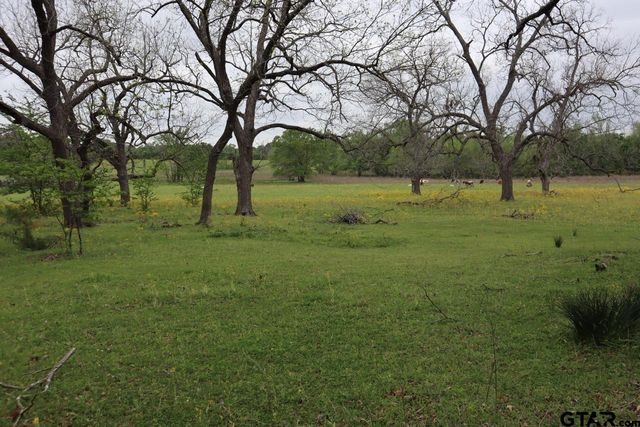 TBD Rs County Road 2365, Alba, TX 75410