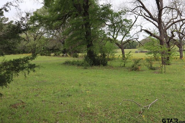 TBD Rs County Road 2365, Alba, TX 75410