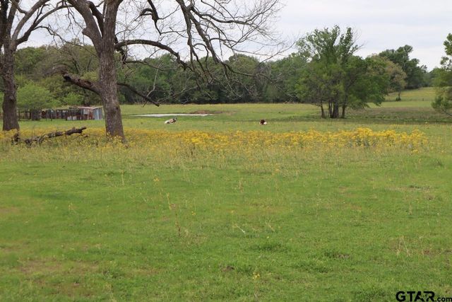 TBD Rs County Road 2365, Alba, TX 75410