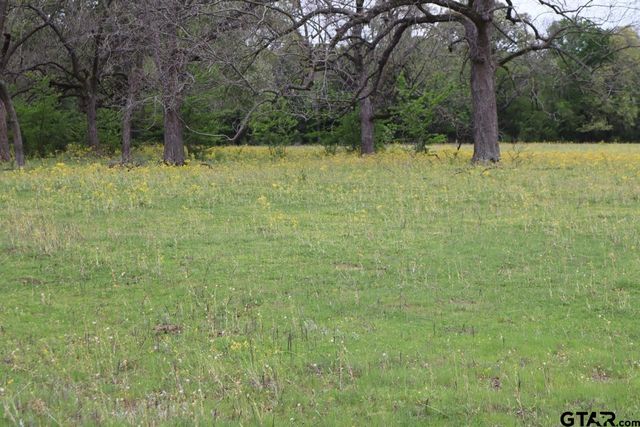 TBD Rs County Road 2365, Alba, TX 75410