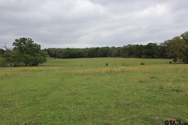TBD Rs County Road 2365, Alba, TX 75410