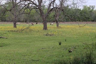 TBD Rs County Road 2365, Alba, TX 75410