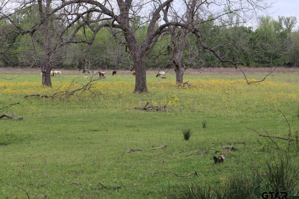 TBD Rs County Road 2365, Alba, TX 75410