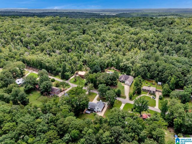 2130 ROCK MOUNTAIN DRIVE, Mccalla, AL 35111