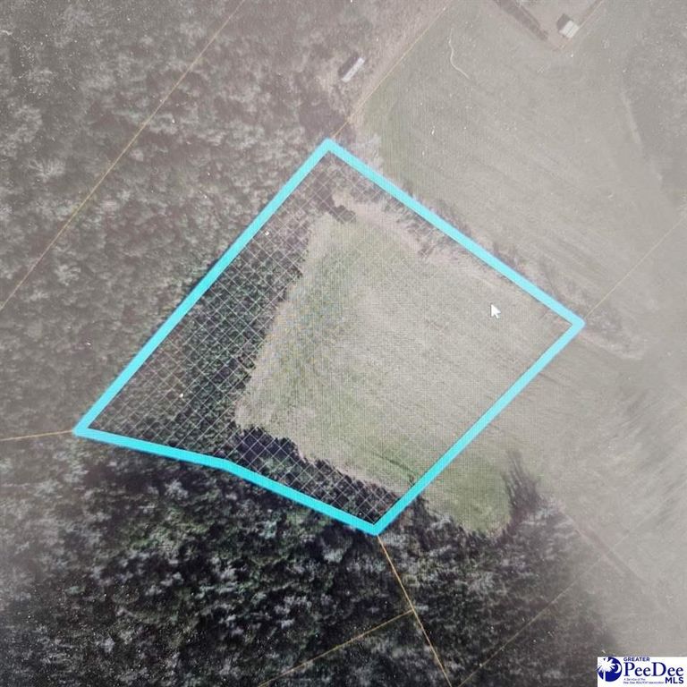 TBD Fries Bay Road, Loris, SC 29569