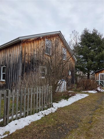 110 Clarence Howe Road, Pittsfield, NY 13411