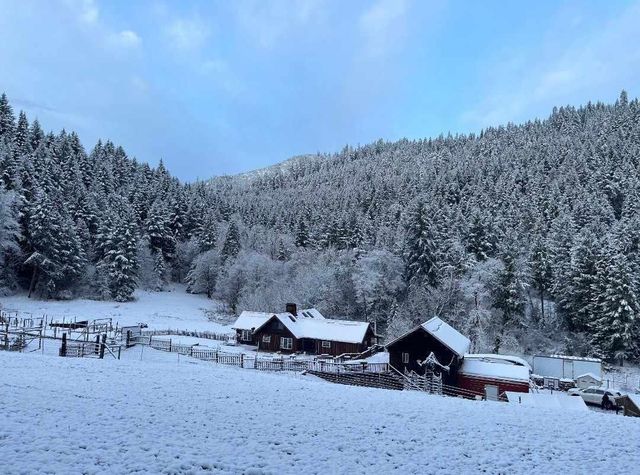 928 N Old Stage Road, Wolf Creek, OR 97497